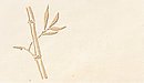 Schablone: Bambusrohr