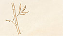 Bambusrohr - Bild Bambusrohr - Bild