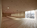 Vorarlberg Museum Bregenz - Bild